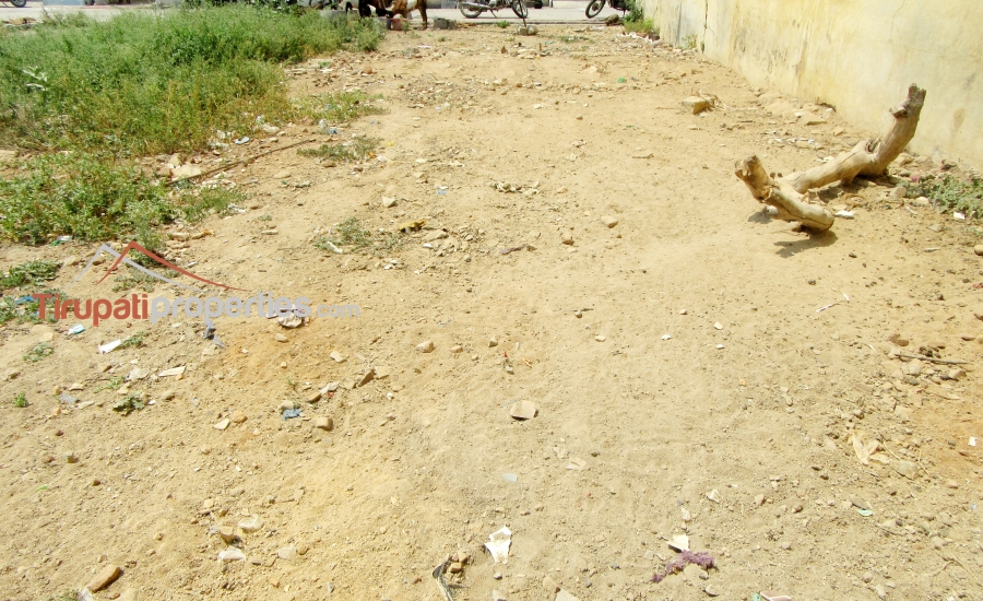 35 Anks North Facing #ReadyforConstruction #PlotforSale in Thimminaidupalem Near Mangalam Road, #Tirupati